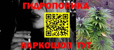 сатива Новокубанск