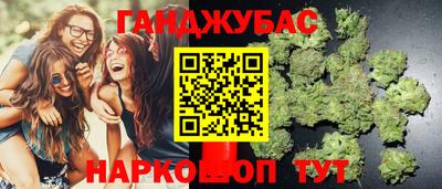 сатива Новокубанск