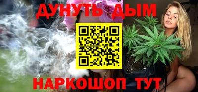 сатива Новокубанск