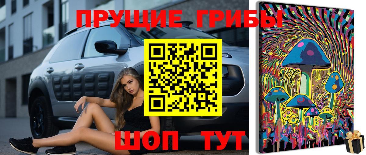 Псилоцибиновые грибы MAGIC MUSHROOMS  Вход с VPN  где можно купить наркотик  Партизанск 