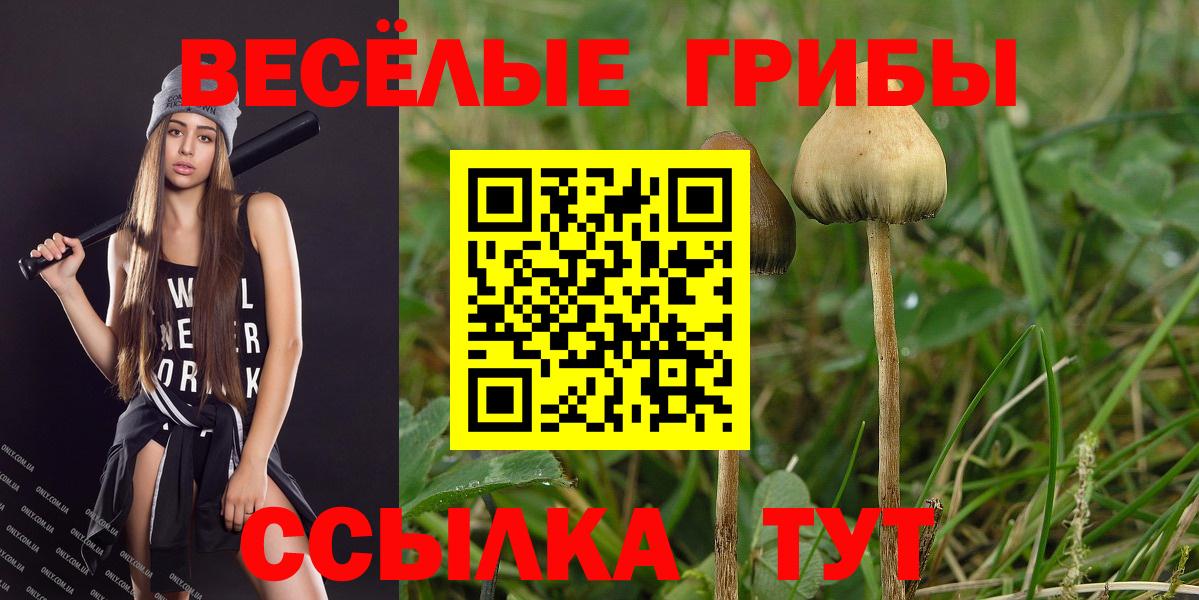 Псилоцибиновые грибы MAGIC MUSHROOMS Партизанск